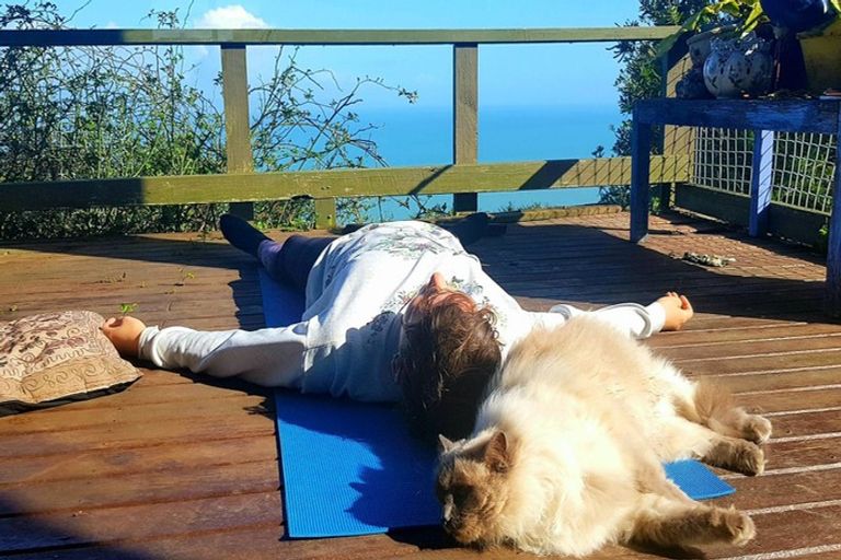 Photo of property in 13 Pohue Creek Road, Ruamahunga, Thames, 3575