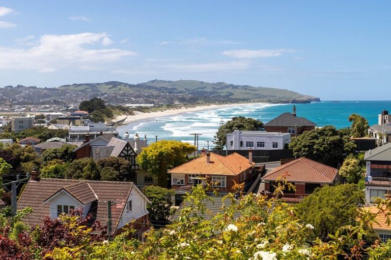 Photo of property in 100 Norfolk Street, Saint Clair, Dunedin, 9012