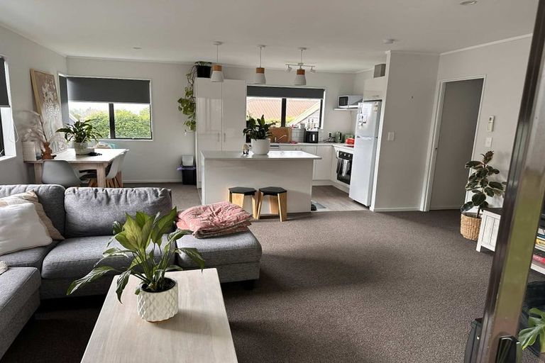 Photo of property in 53 Paine Street, Judea, Tauranga, 3110