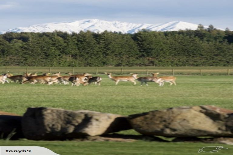 Photo of property in 18 Meadowlinks Lane, Pleasant Point, 7974