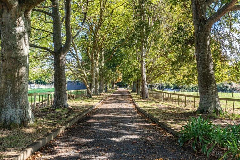 Photo of property in 12 Jeffs Road, Mangatawhiri, Pokeno, 2471