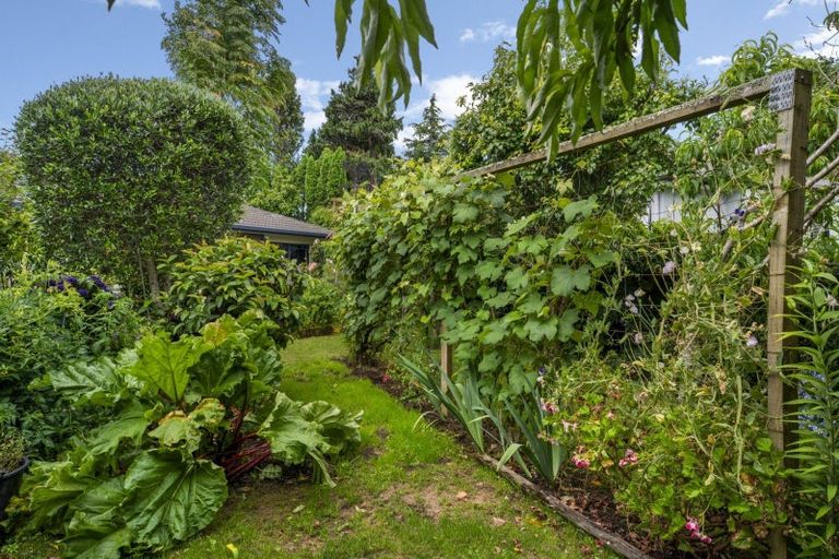 Photo of property in 10 Finlayson Place, Welcome Bay, Tauranga, 3112