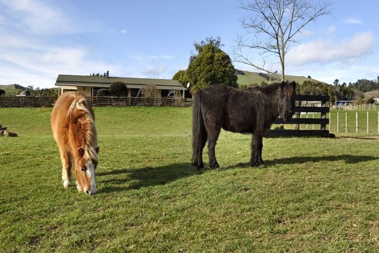 Photo of property in 11 Thorn Road, Dovedale, Wakefield, 7096