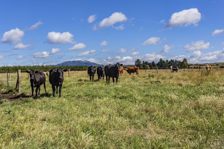Photo of property in 1003 Marshmans Road, Balcairn, Rangiora, 7477