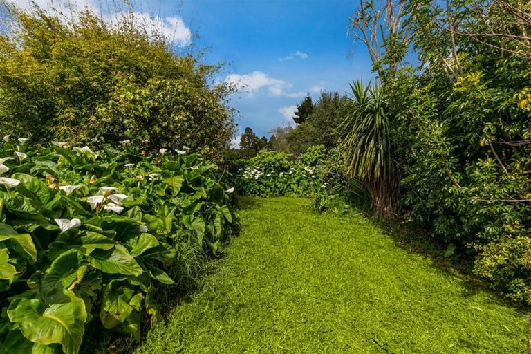 Photo of property in 10 Puketaha Road, Swanson, Auckland, 0816