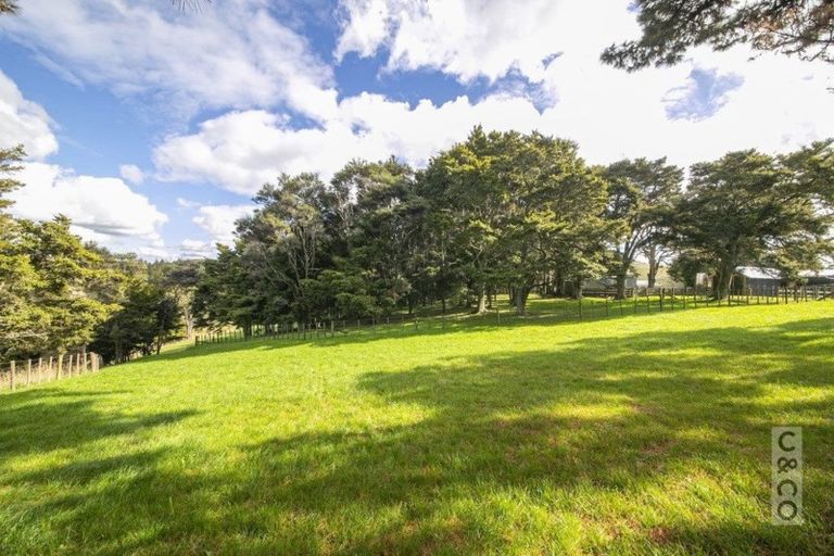 Photo of property in 202 Rapson Road, Kaukapakapa, 0871