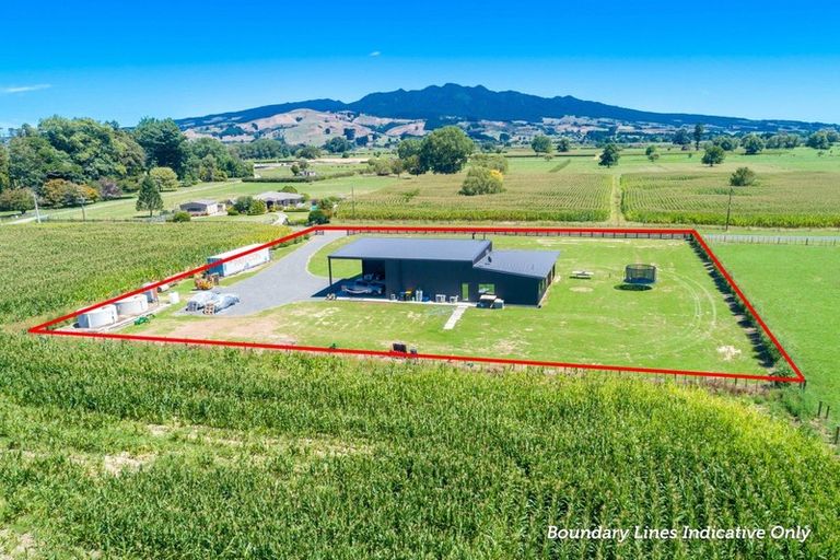 Photo of property in 51 Papesch Road, Pirongia, Te Awamutu, 3876