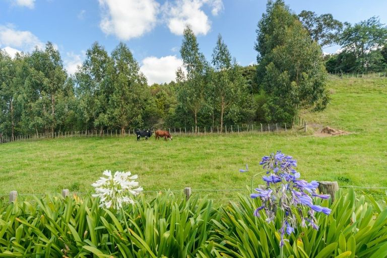 Photo of property in 19 Ursula Drive, Feilding, 4702