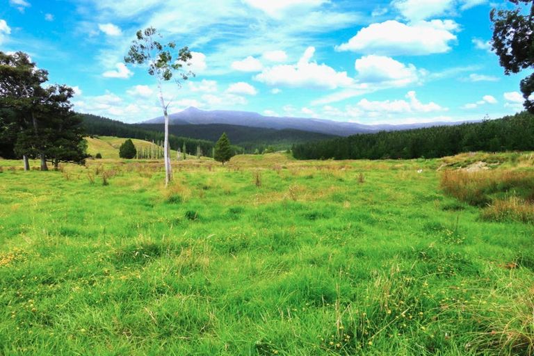 Photo of property in 2218 Tangowahine Valley Road, Tangowahine, Dargaville, 0372