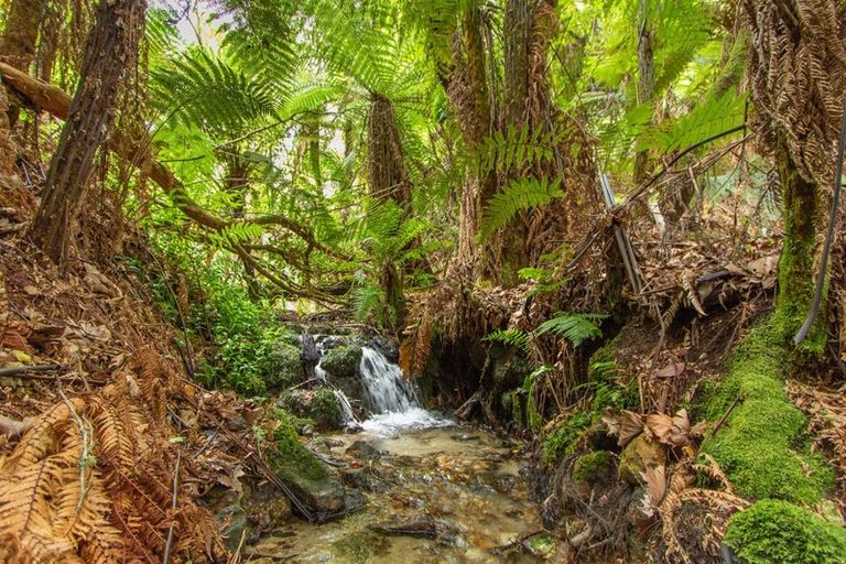 Photo of property in 266 Pukehangi Road, Sunnybrook, Rotorua, 3015