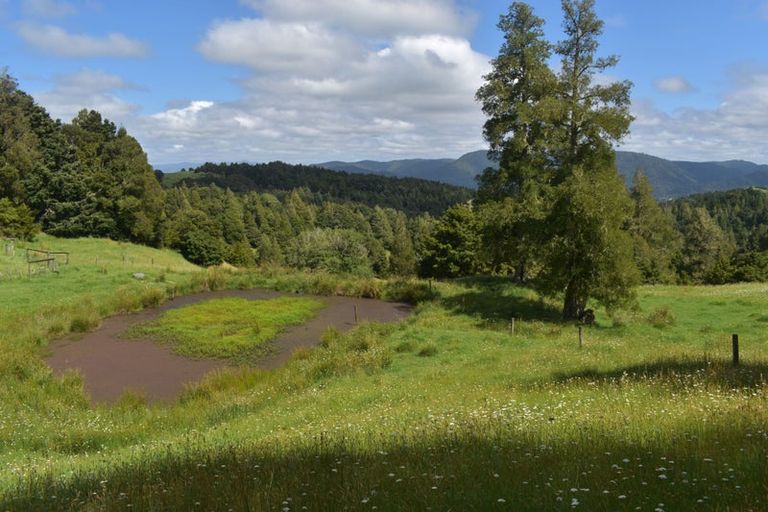 Photo of property in 63 Donaldson Road, Okaihau, 0475