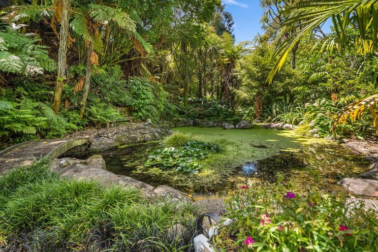 Photo of property in 23b Horne Street, Hamilton Central, Hamilton, 3204