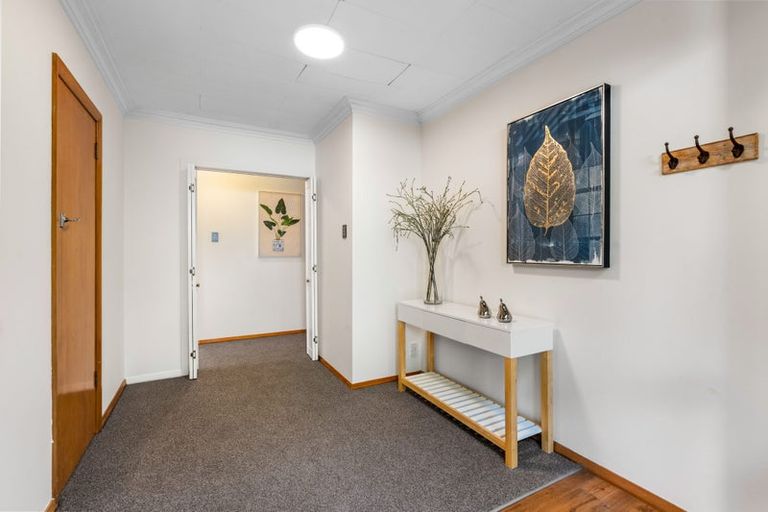Photo of property in 58 Skibo Street, Kew, Dunedin, 9012