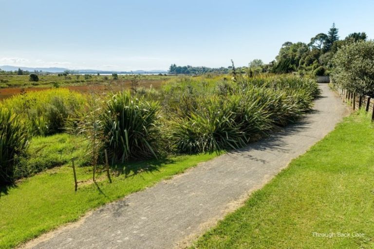 Photo of property in 49 Westwood Street, Bellevue, Tauranga, 3110