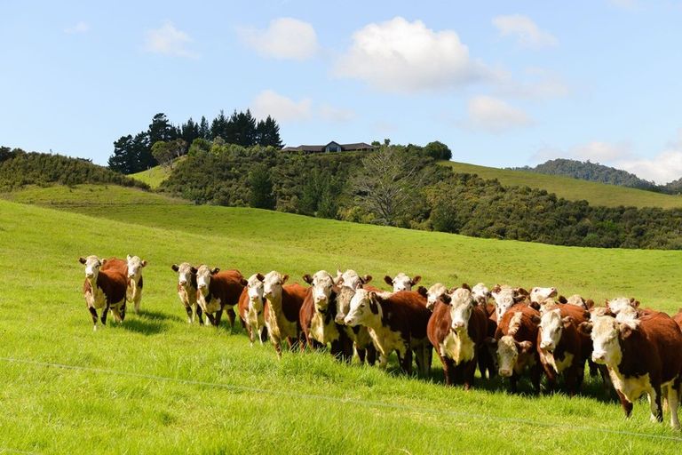 Photo of property in 58 Kempthorne Road, Russell, 0272