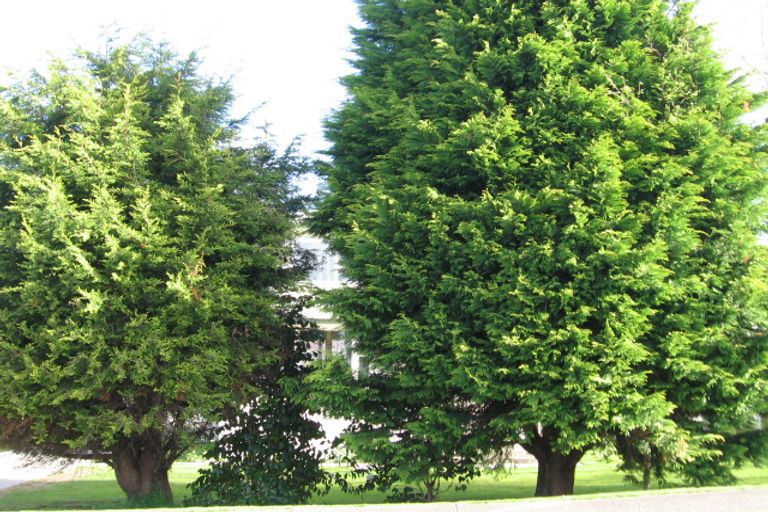 Photo of property in 16a Princess Road, Bellevue, Tauranga, 3110