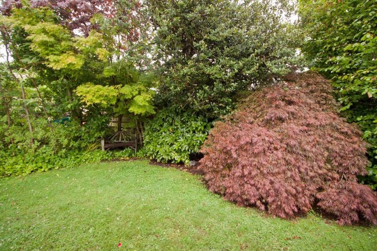 Photo of property in 49 Worcester Street, Ashhurst, 4810