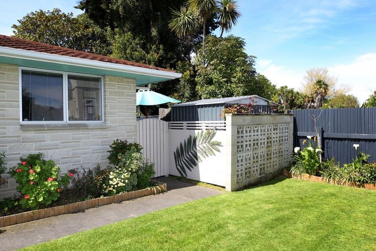 Photo of property in 220a Wolseley Street, Mayfair, Hastings, 4122