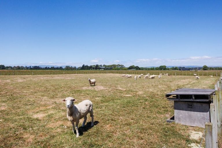 Photo of property in 1404a State Highway 3, Newbury, Palmerston North, 4475