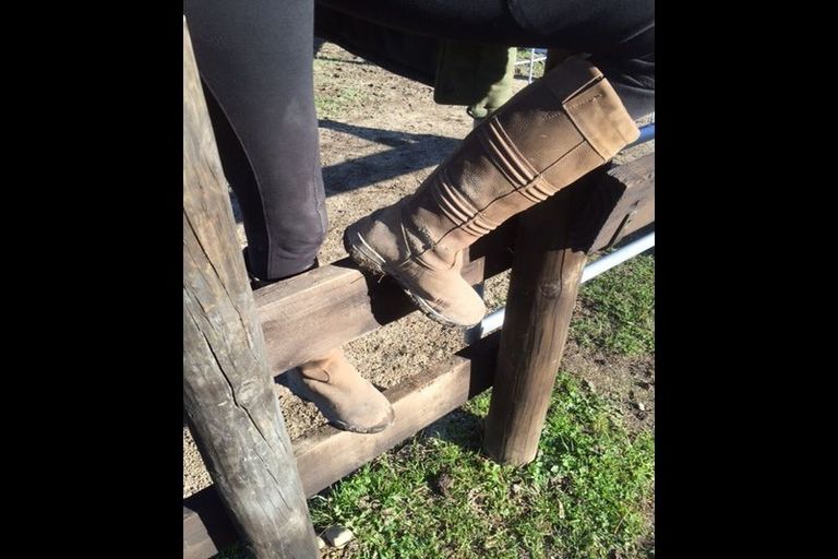 Photo of property in 172 Haringa Road, Carrington, Carterton, 5791