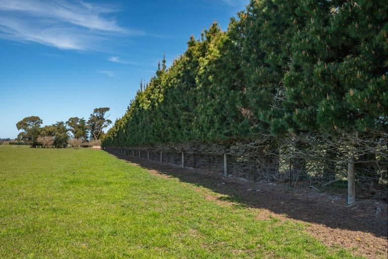 Photo of property in 266 Rangiora Leithfield Road, Sefton, 7477