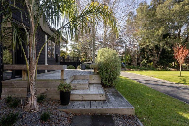 Photo of property in 41 Scantlebury Street, Tauranga South, Tauranga, 3112