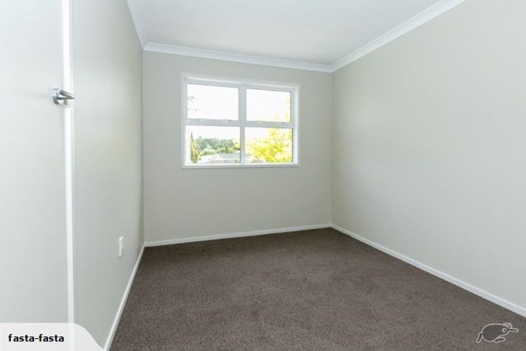 Photo of property in 20 Patrick Place, Fitzroy, Hamilton, 3206