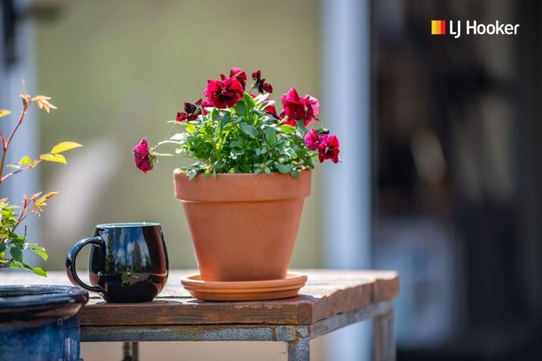 Photo of property in 13 Nairn Street, Mosgiel, 9024