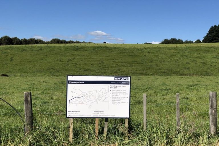 Photo of property in 191 Millars Road, Longbush, Carterton, 5792