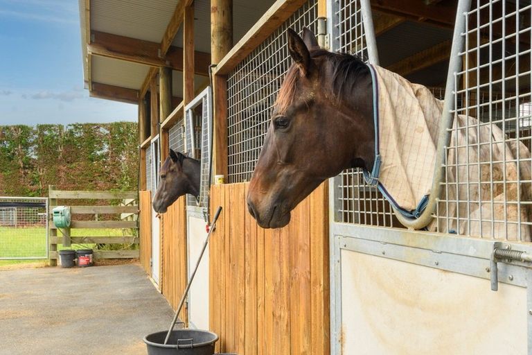 Photo of property in 30a Thompsons Track, Aongatete, Katikati, 3178