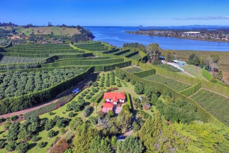 Photo of property in 11b Stokes Road, Tahawai, Katikati, 3170