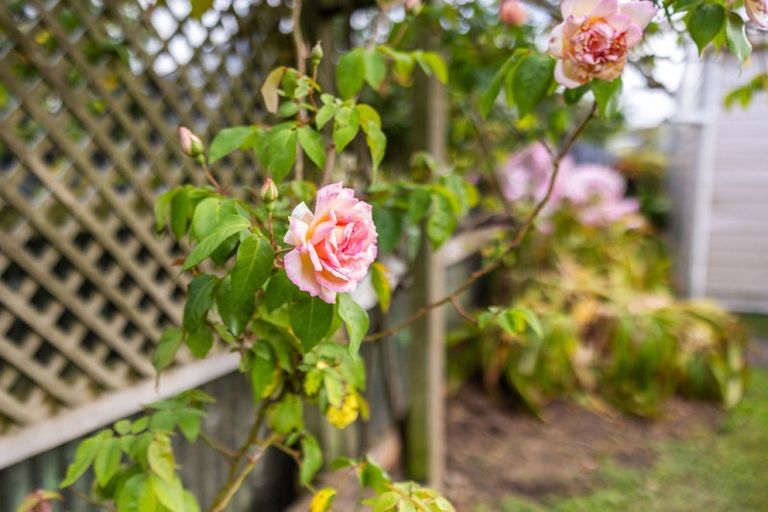 Photo of property in 32 Salisbury Avenue, Whanganui East, Whanganui, 4500