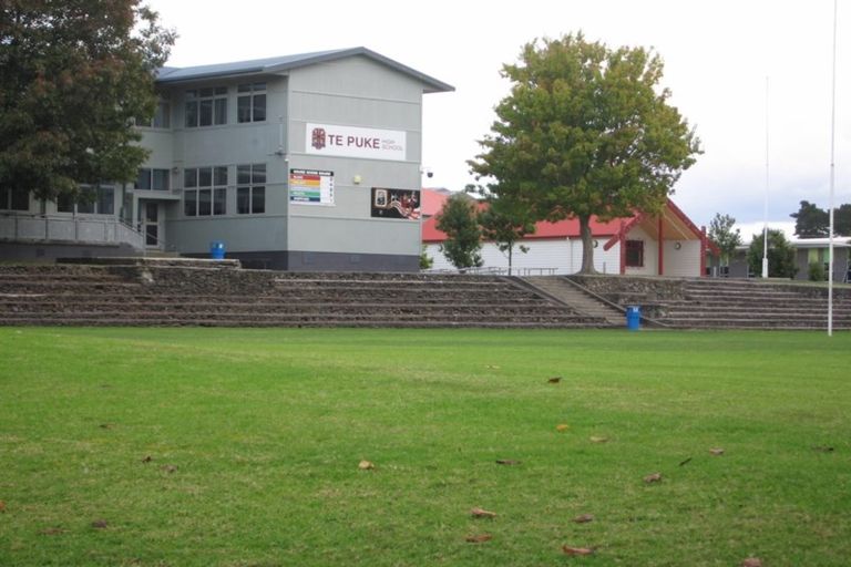 Photo of property in 46c Beatty Avenue, Te Puke, 3119