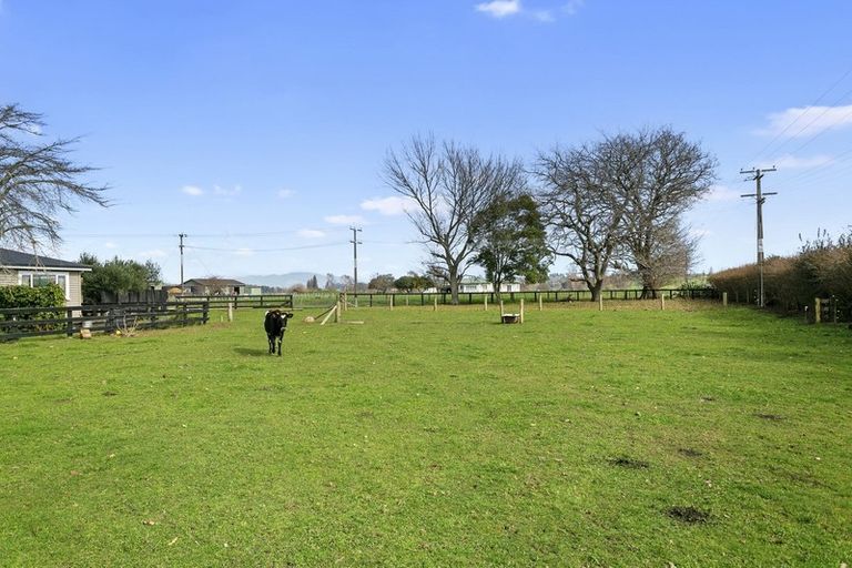 Photo of property in 9 Pond Road, Matamata, 3472