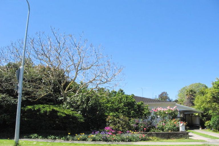 Photo of property in 18 Williams Street, Kaitaia, 0410