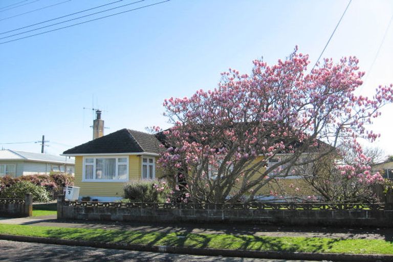 Photo of property in 9 Bledisloe Street, Levin, 5510