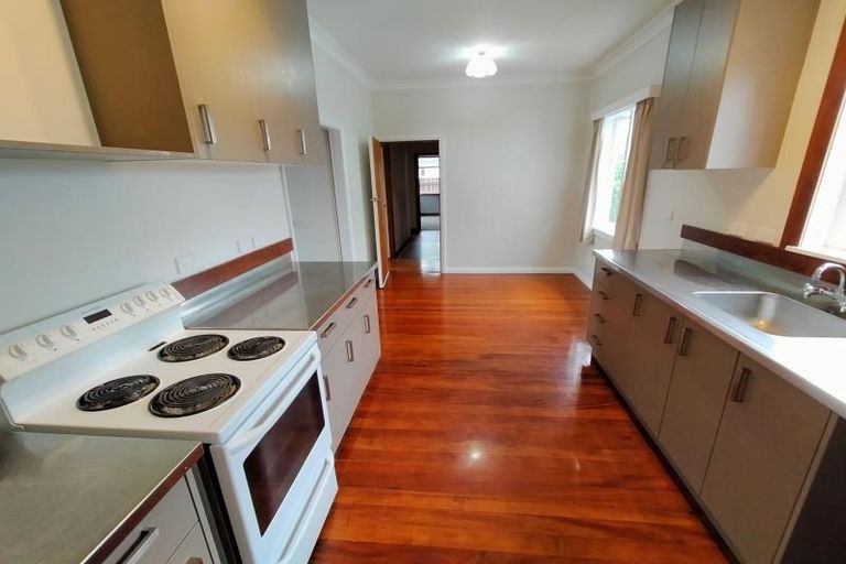 Photo of property in 87 Guy Avenue, Takaro, Palmerston North, 4410