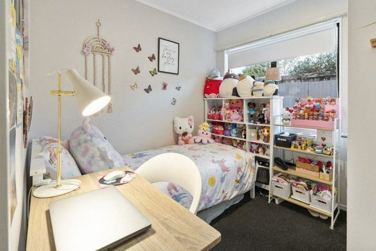 Photo of property in 26a Limbrick Street, Terrace End, Palmerston North, 4410