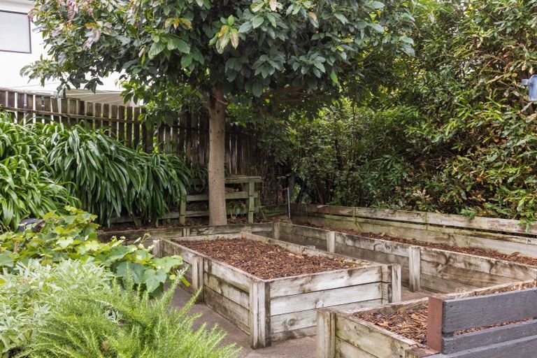 Photo of property in 21 York Crescent, Westown, New Plymouth, 4310