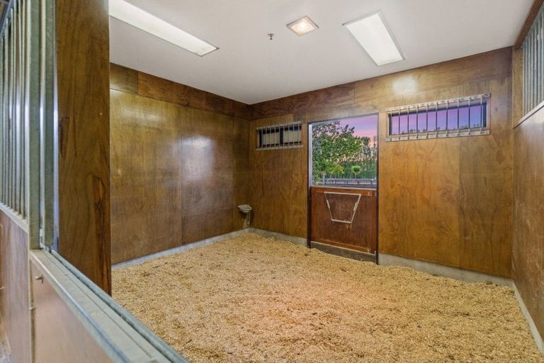 Photo of property in 55 Postman Road, Dairy Flat, Albany, 0794