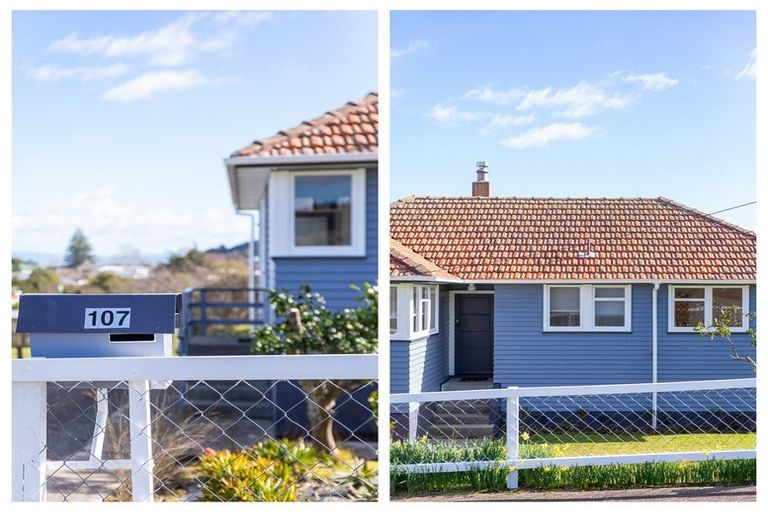 Photo of property in 107 Hauraki Terrace, Thames, 3500