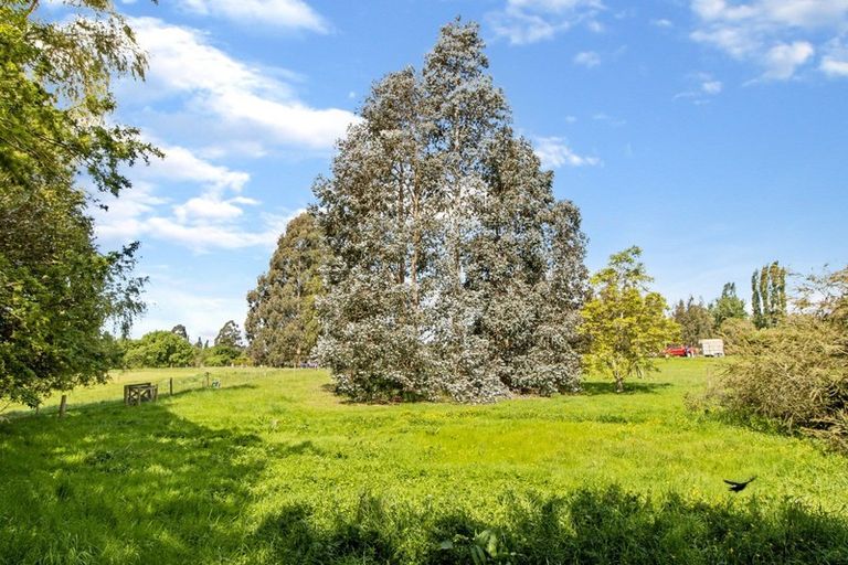 Photo of property in 338 Mill Road, Waimate, 7978