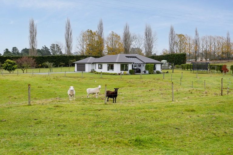 Photo of property in 468 State Highway 1, Wairakei, Taupo, 3384