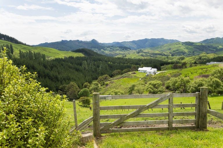 Photo of property in 232 Gaddums Hill Road, Outer Kaiti, Gisborne, 4010