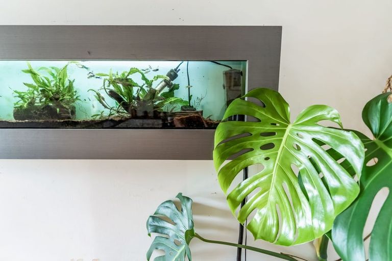 Photo of property in 126 Fordyce Road, Parakai, Helensville, 0874