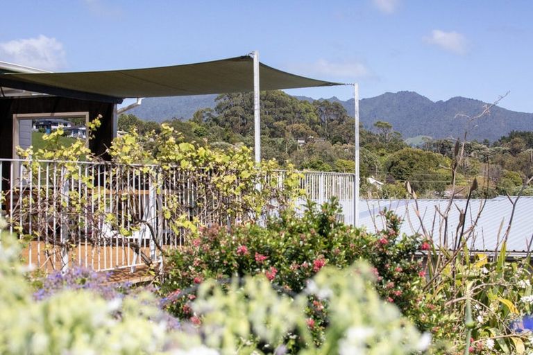 Photo of property in 32 Taipari Avenue, Raglan, 3225