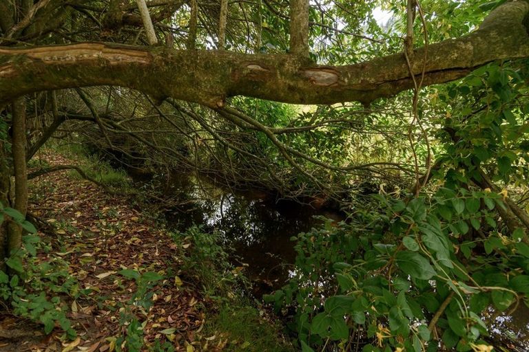 Photo of property in 2c Armstrong Road, Te Puna, Tauranga, 3174