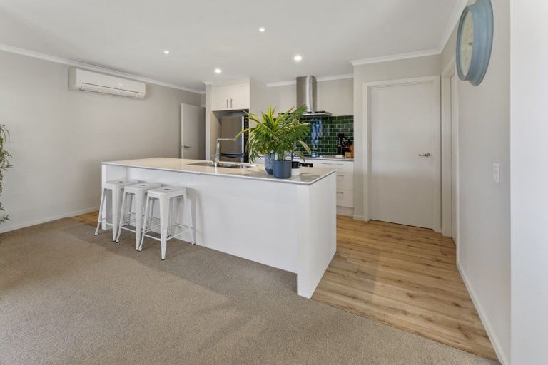 Photo of property in 20 Travers Avenue, Richmond, 7020