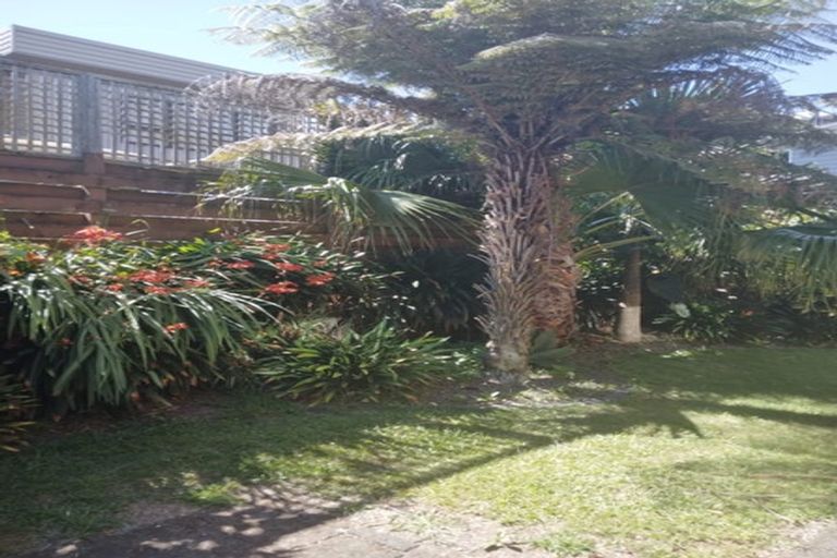 Photo of property in 64b Tutauanui Crescent, Maungatapu, Tauranga, 3112