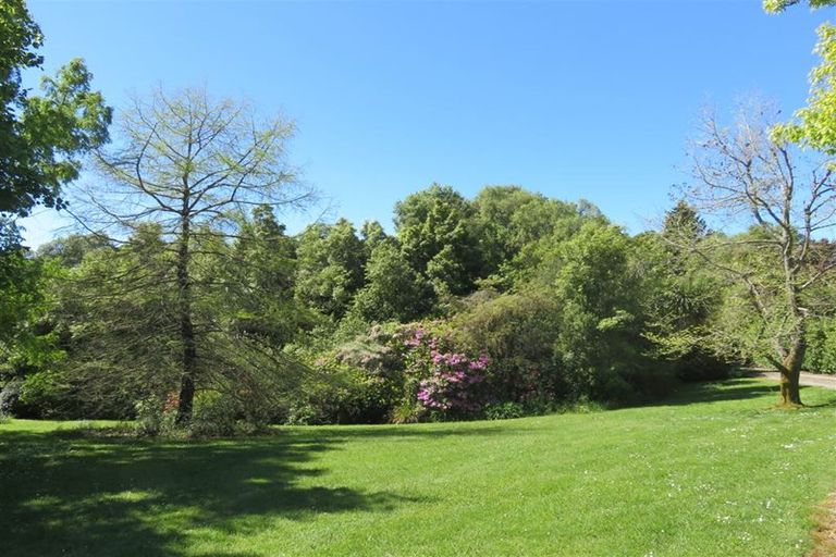 Photo of property in 33 Ribbonwood Road, Geraldine Downs, Geraldine, 7991